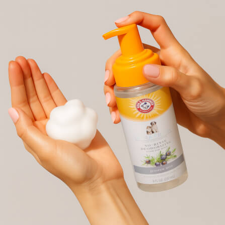 โฟมอาบน้ำแห้งสุนัข ARM AND HAMMER ULTRA FRESH สูตร CACTUS WATER และ CITRUS ขนาด 237 มล._1